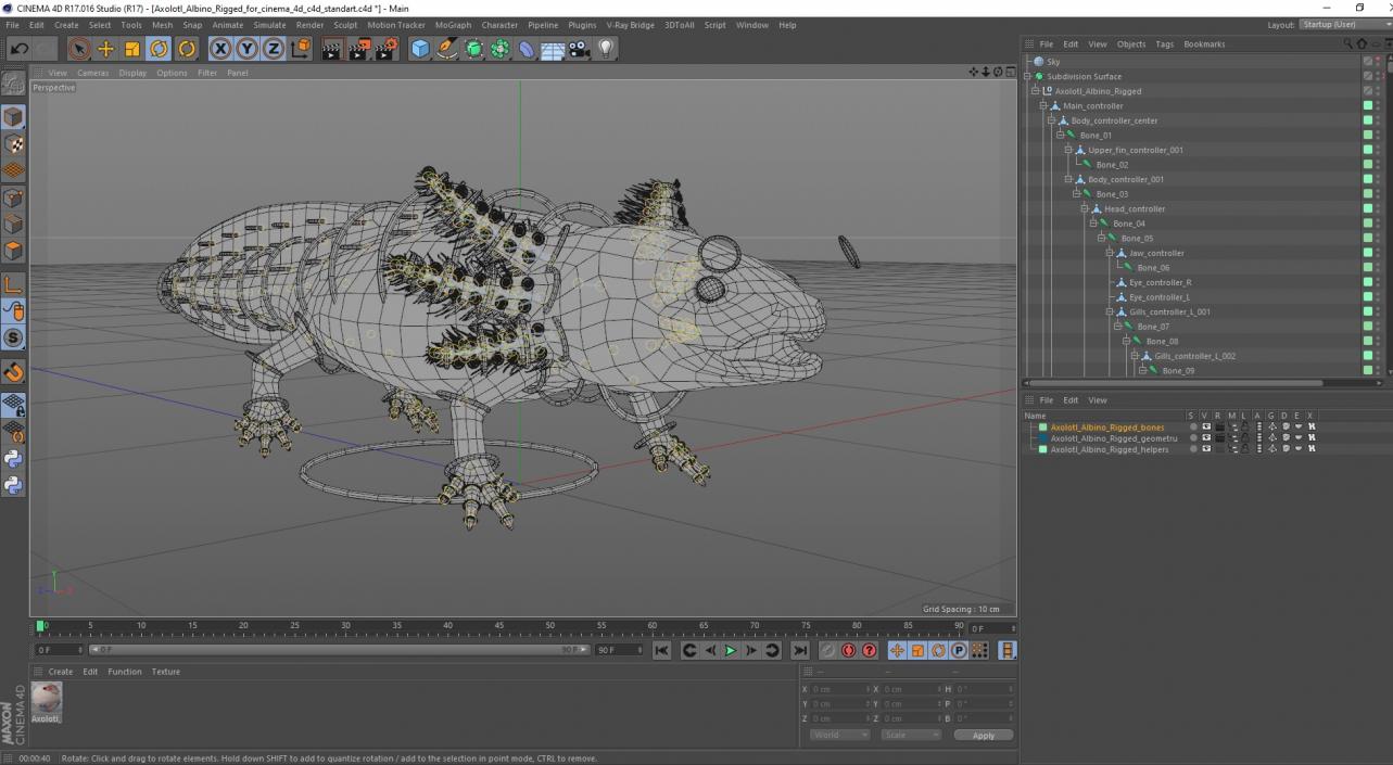 3D model Axolotl Albino Rigged for Cinema 4D