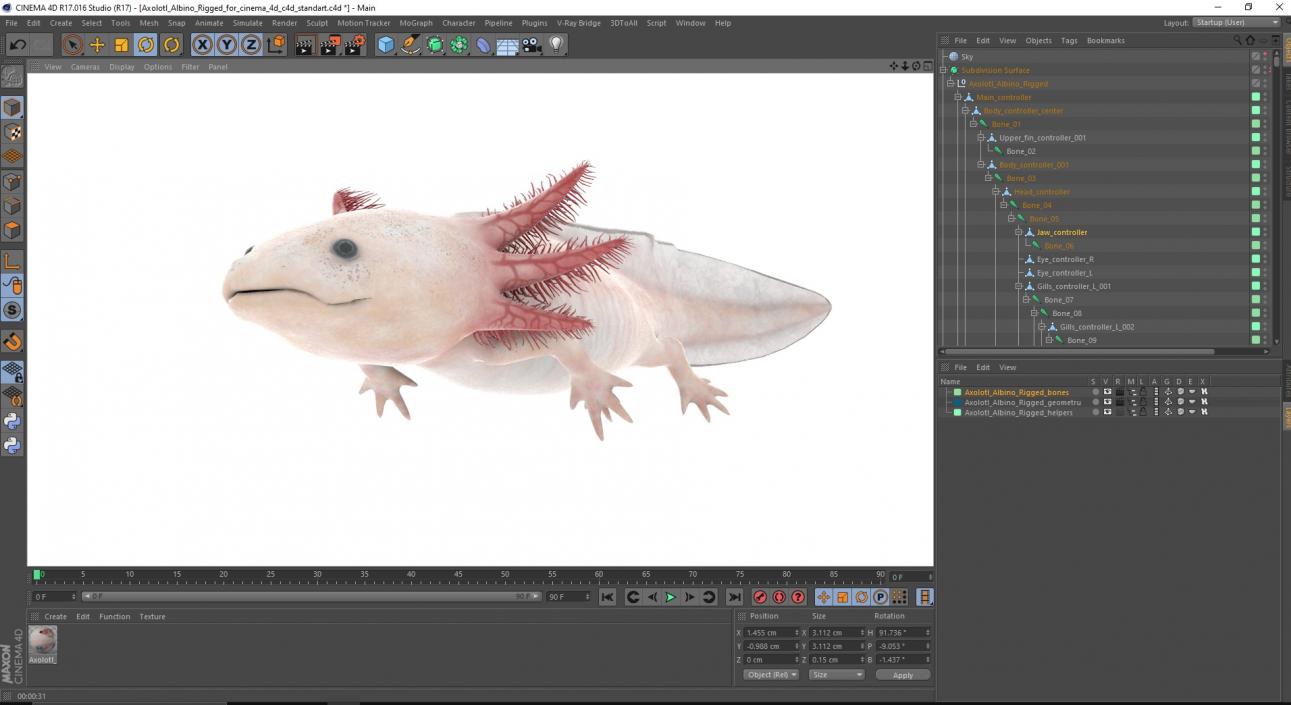 3D model Axolotl Albino Rigged for Cinema 4D