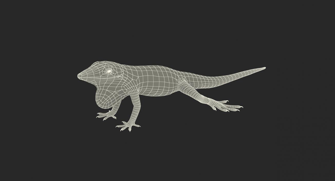 Rigged Lizards Collection 3 3D