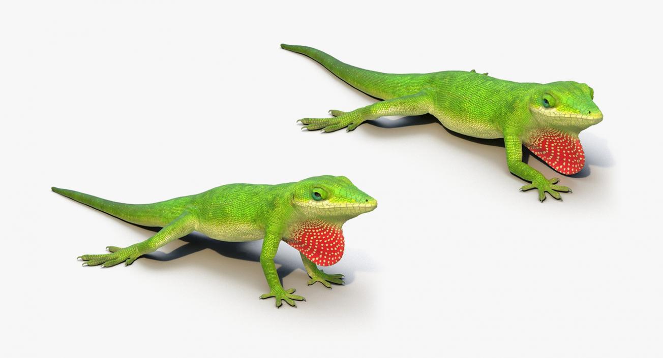 Rigged Lizards Collection 3 3D