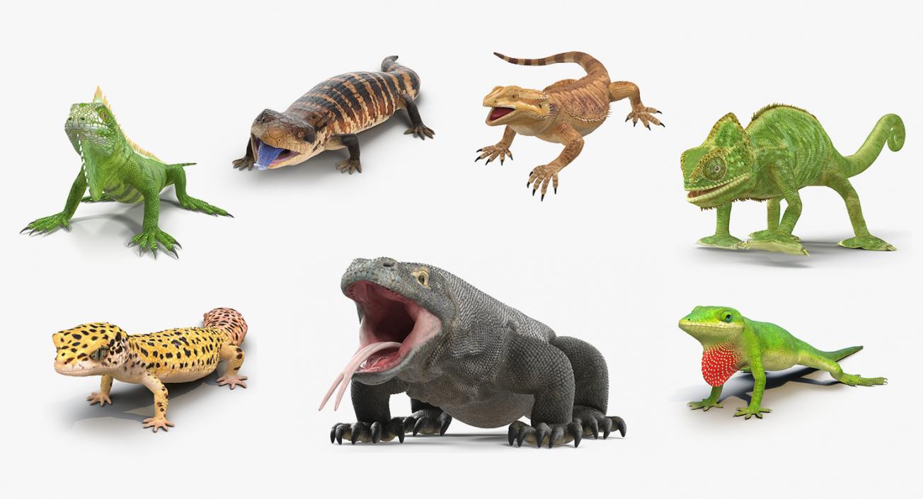 Rigged Lizards Collection 3 3D