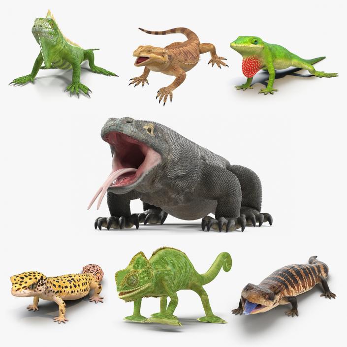 Rigged Lizards Collection 3 3D