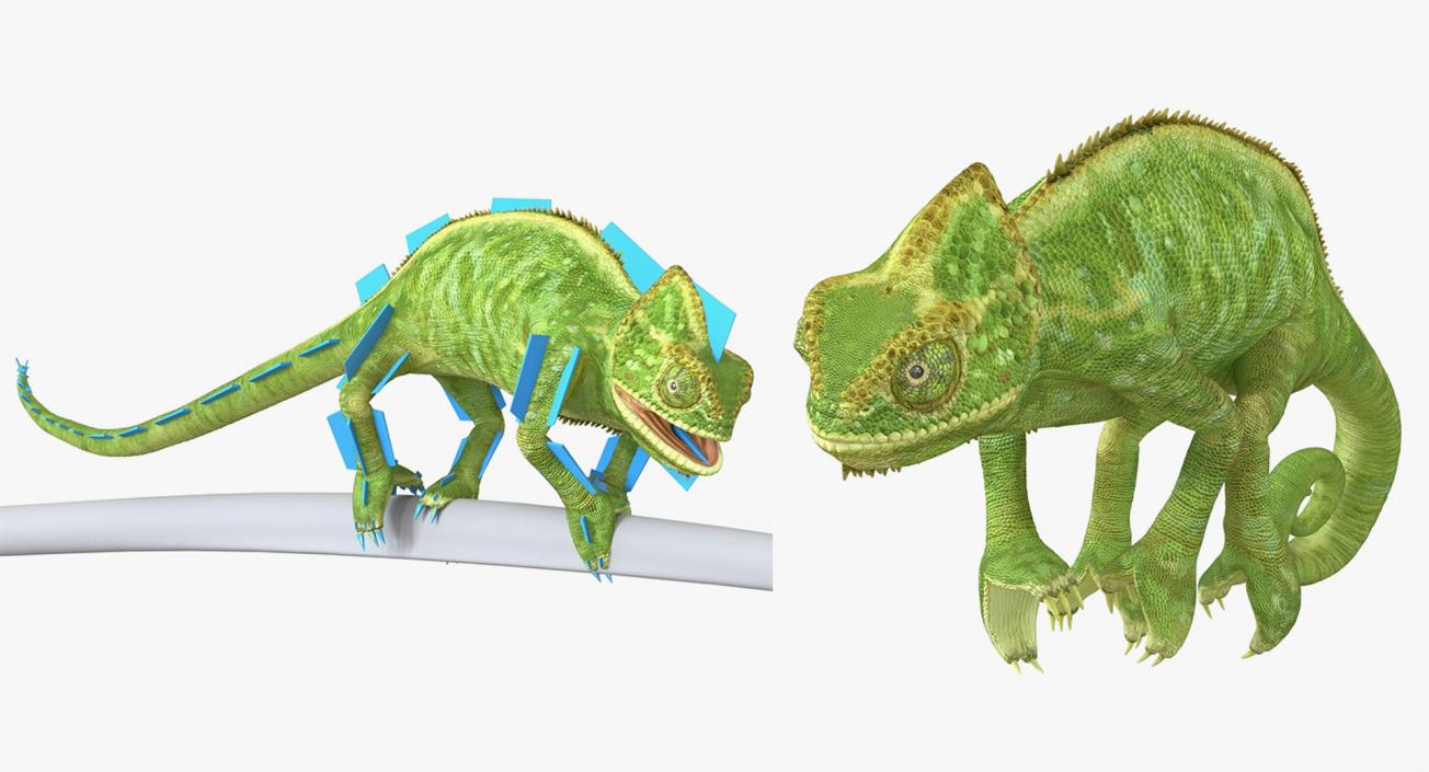 Rigged Lizards Collection 3 3D