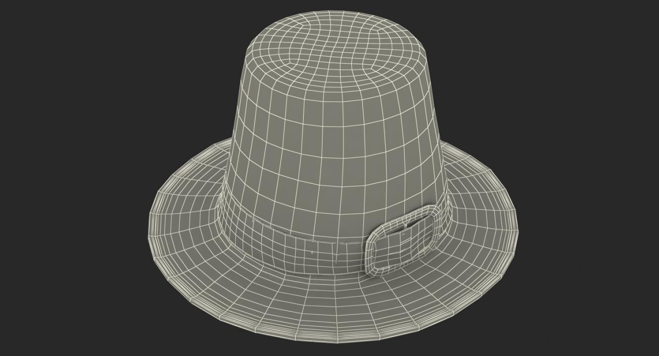 3D Pilgrim Hat