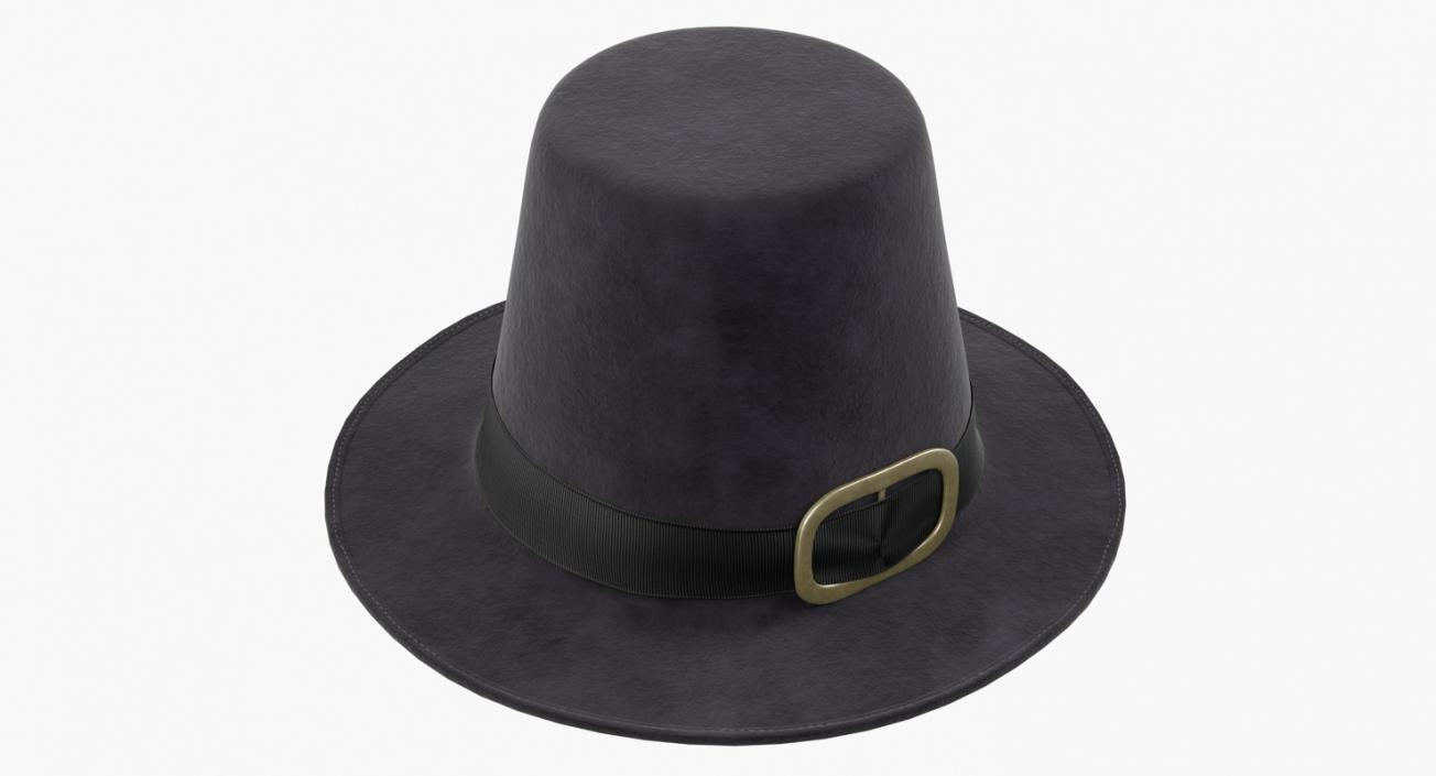 3D Pilgrim Hat