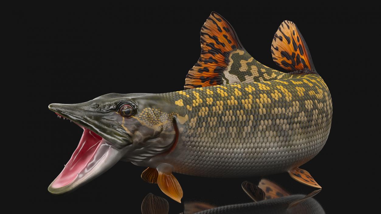 3D Pike Fish Rigged