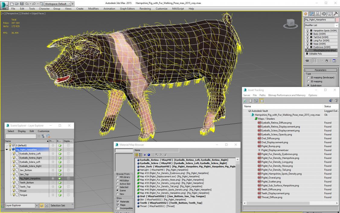 Hampshire Pig Piglet with Fur Walking Pose 3D