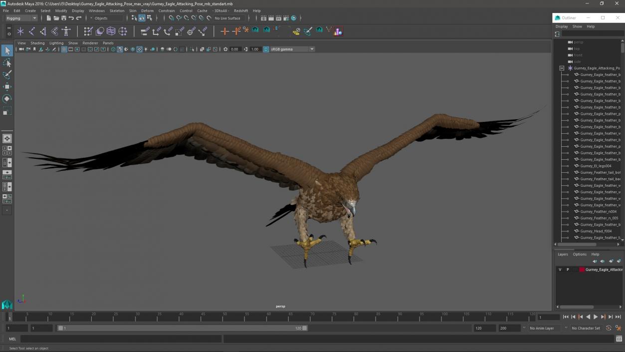 Gurney Eagle Attacking Pose 3D