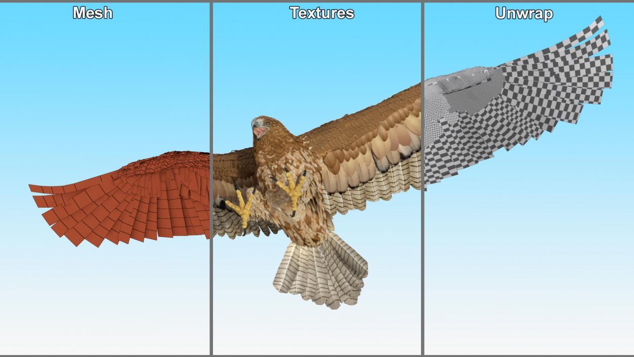 Gurney Eagle Attacking Pose 3D