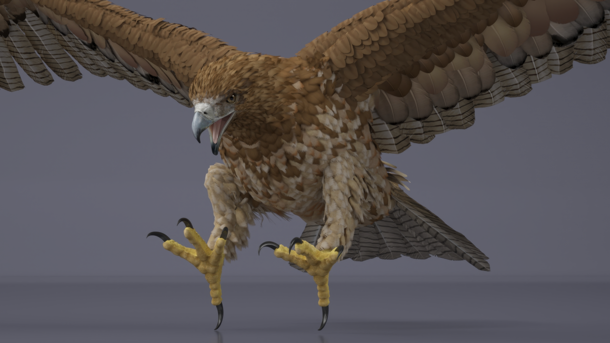 Gurney Eagle Attacking Pose 3D