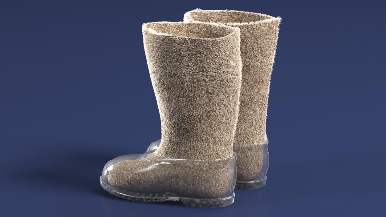 Warm Rustic Felt Boots With Transparent Galoshes Fur 3D