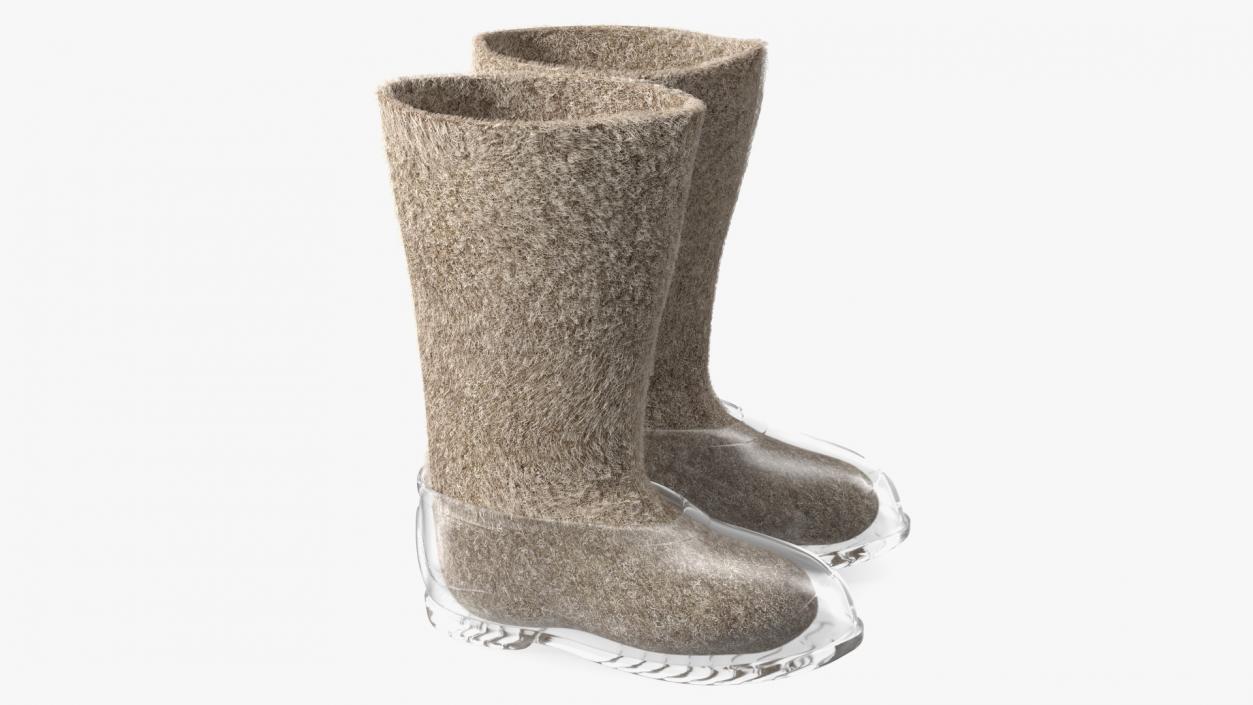 Warm Rustic Felt Boots With Transparent Galoshes Fur 3D