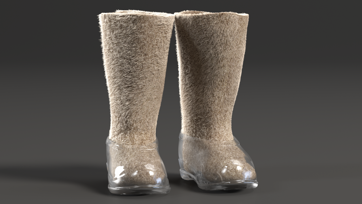 Warm Rustic Felt Boots With Transparent Galoshes Fur 3D