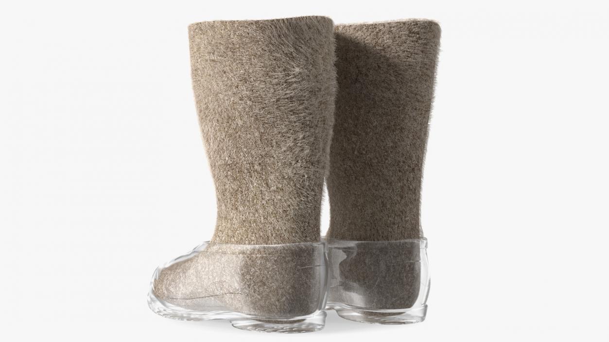 Warm Rustic Felt Boots With Transparent Galoshes Fur 3D