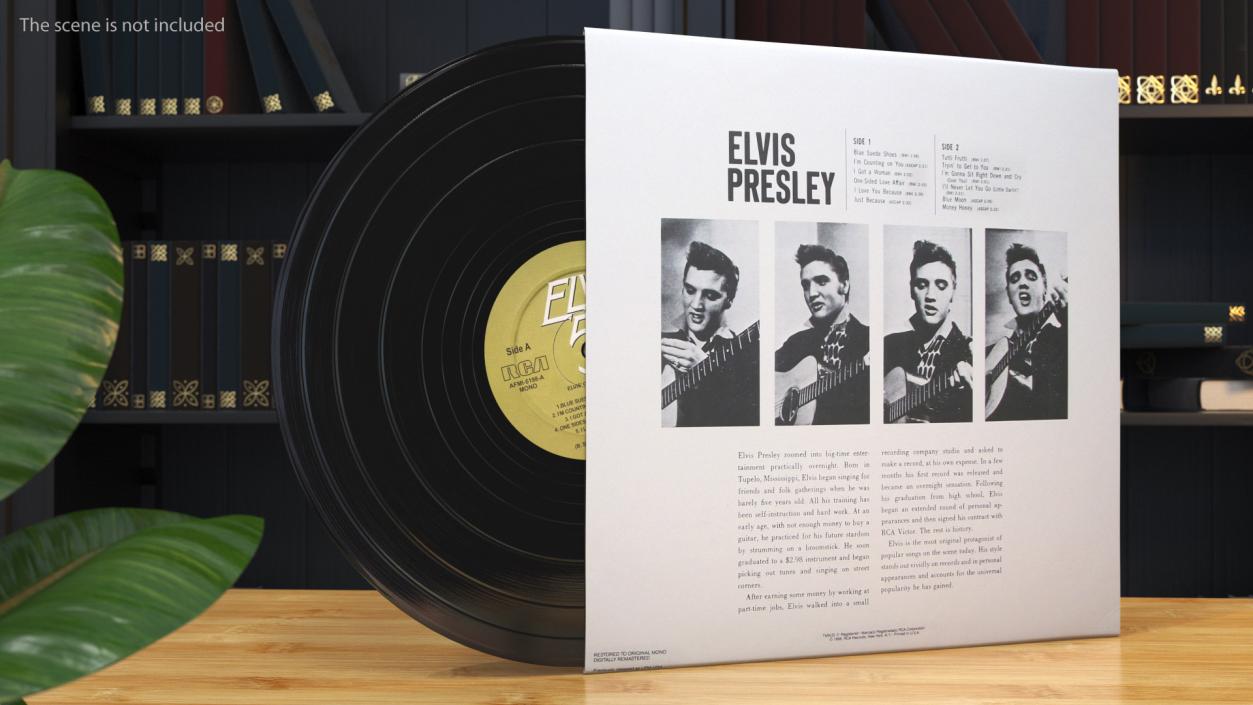 3D model Vintage Vinyl Album Elvis