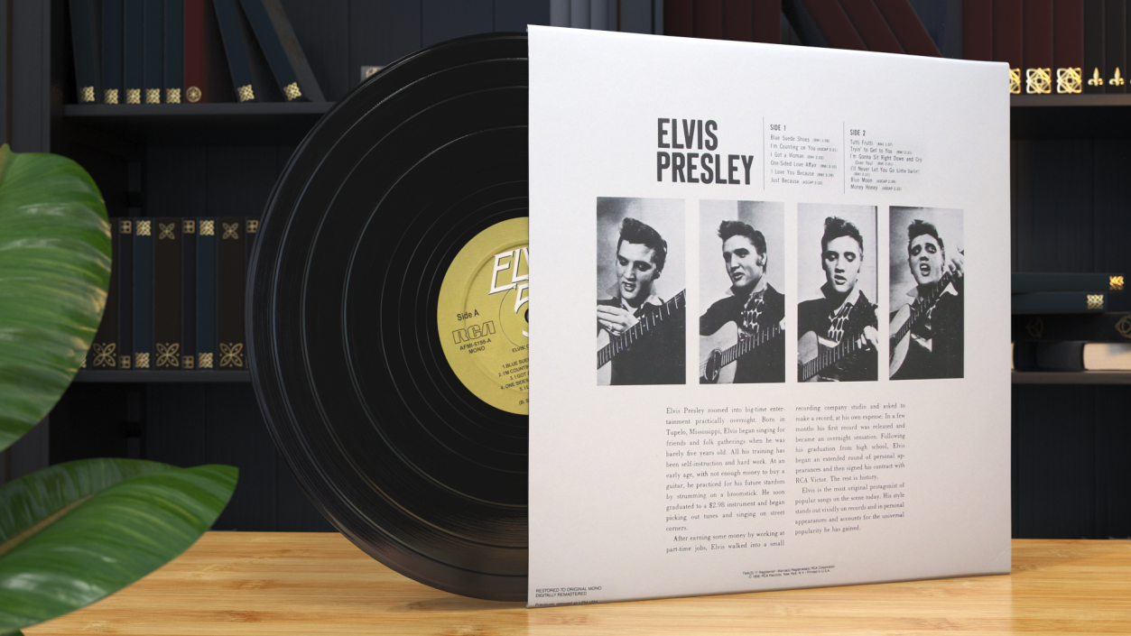 3D model Vintage Vinyl Album Elvis