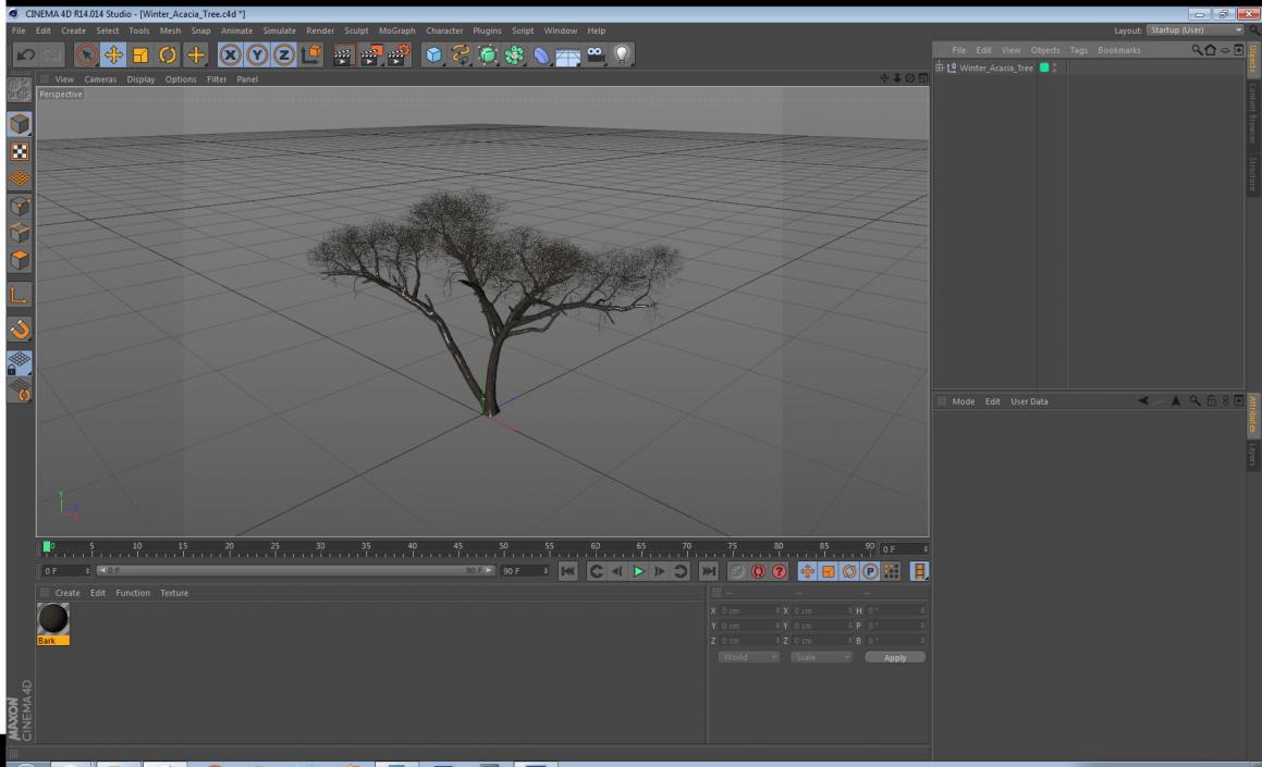 3D Winter Acacia Tree model