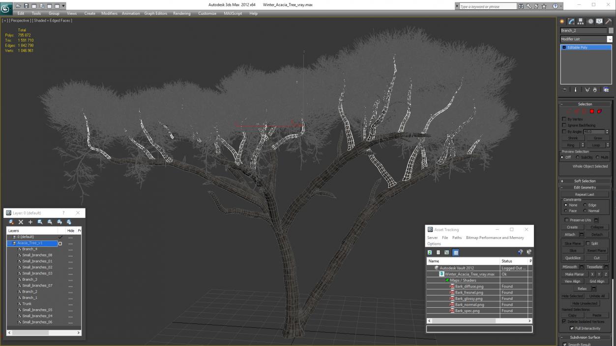 3D Winter Acacia Tree model