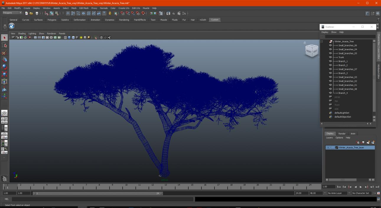 3D Winter Acacia Tree model