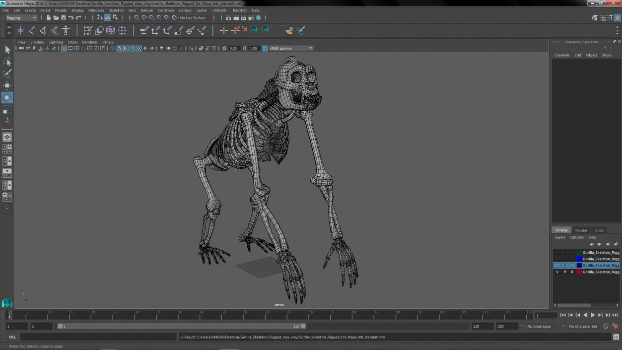 Gorilla Skeleton Rigged for Maya 3D