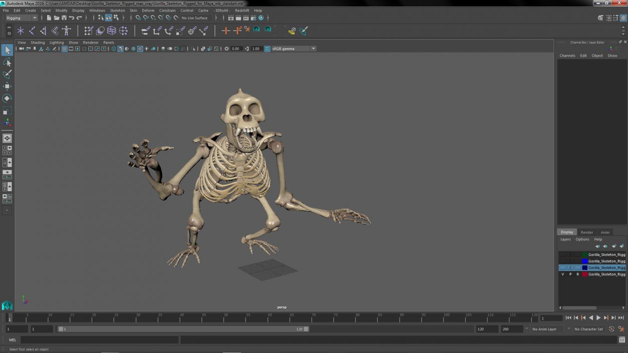 Gorilla Skeleton Rigged for Maya 3D