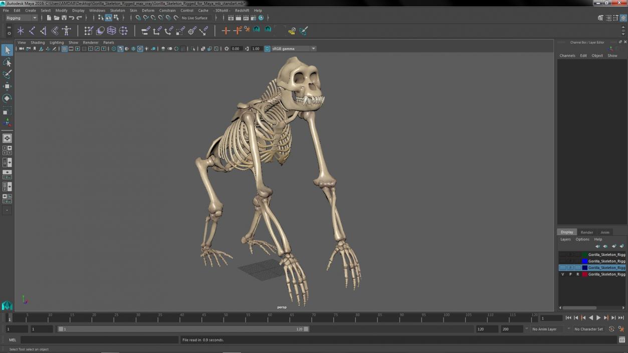 Gorilla Skeleton Rigged for Maya 3D