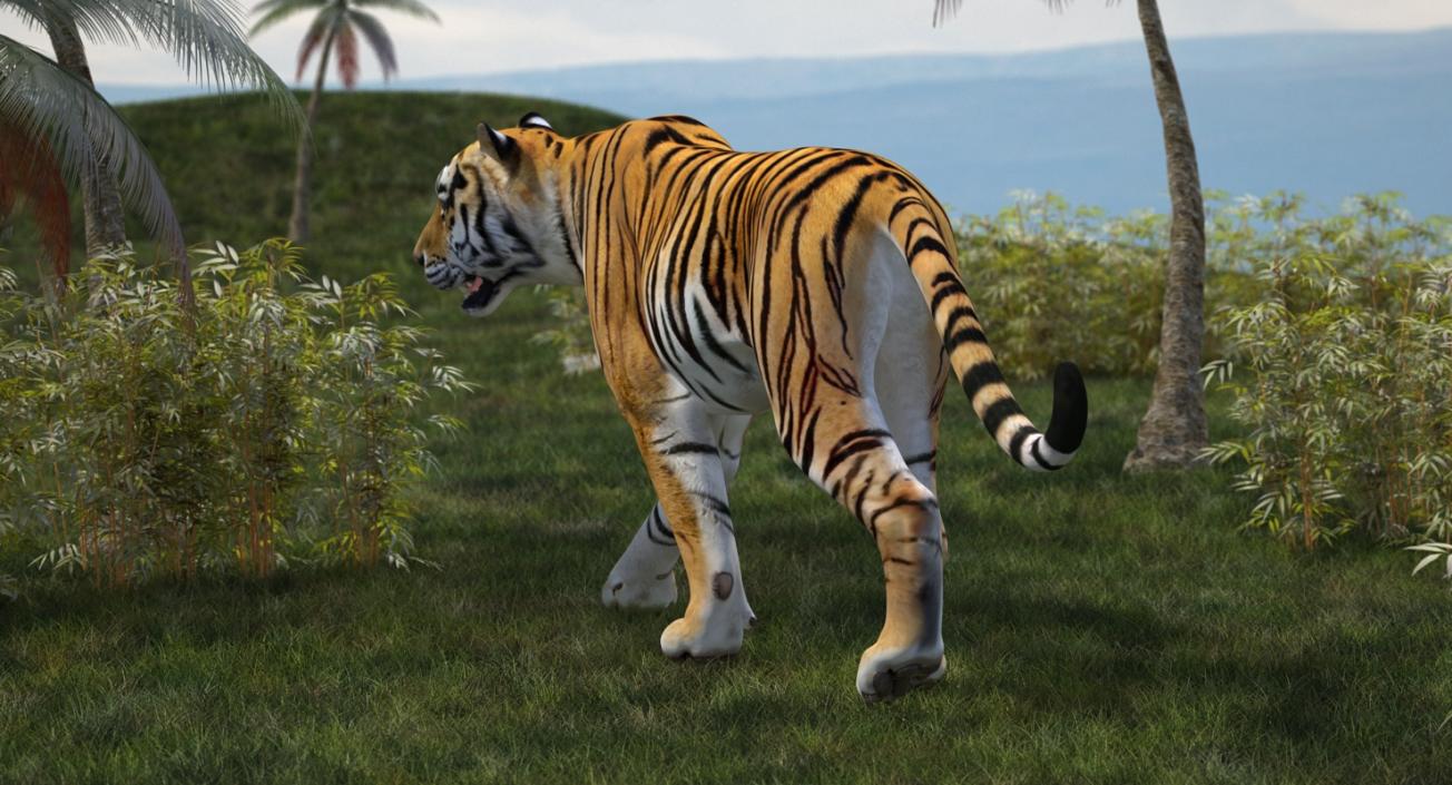 Tiger Walkig Pose 3D