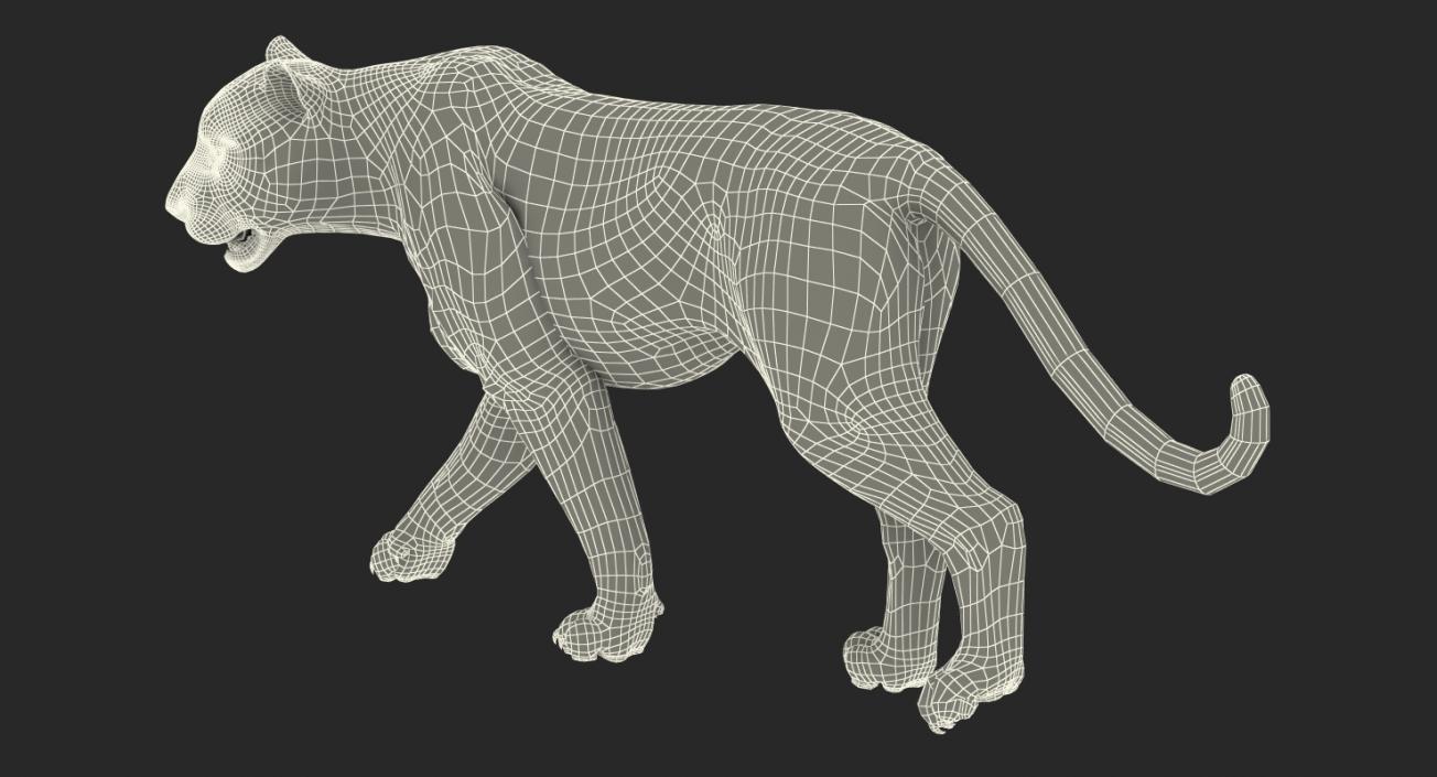 Tiger Walkig Pose 3D