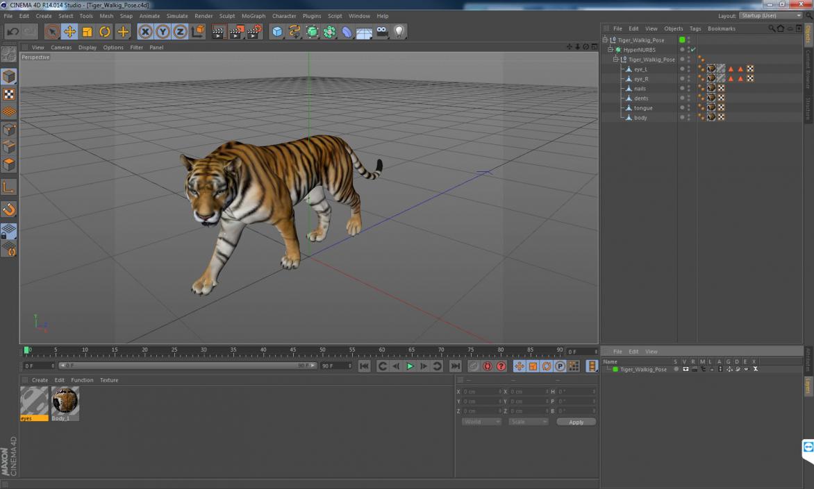 Tiger Walkig Pose 3D