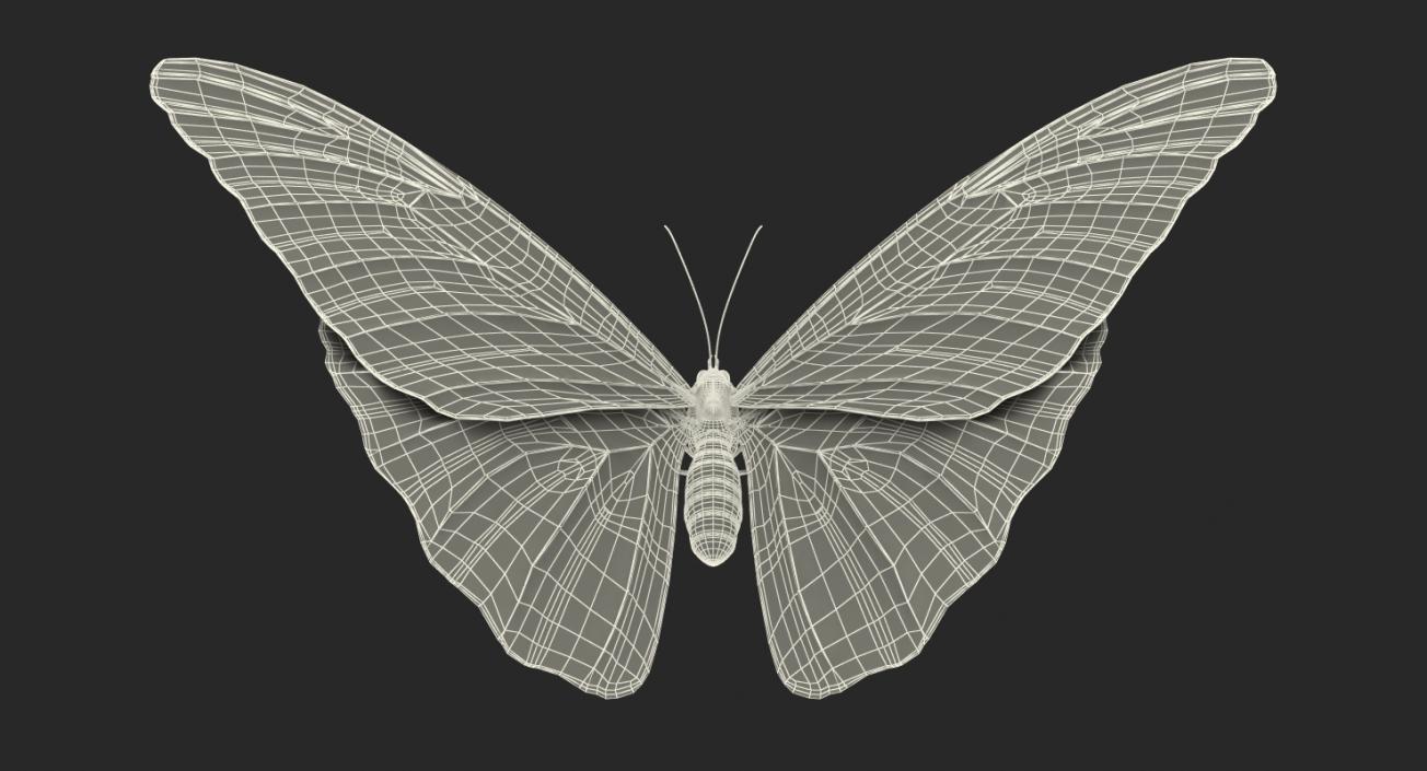 3D Emperor Butterfly with Fur