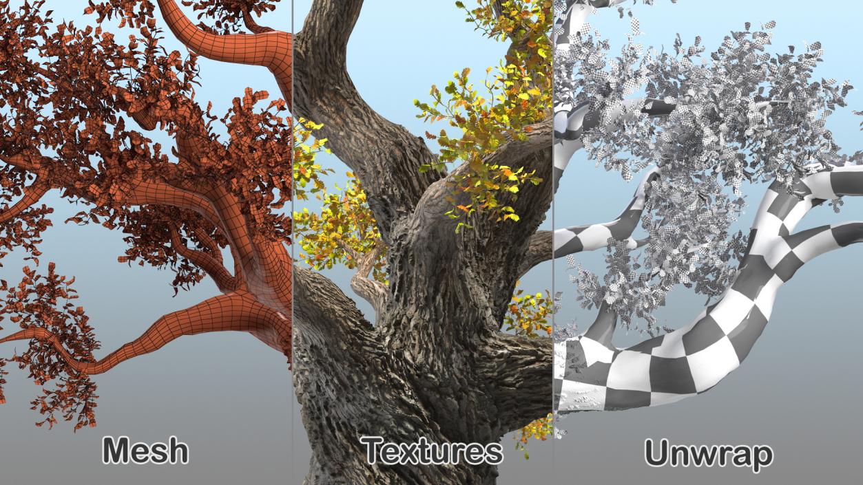 Old Twisted Oak Tree with Leaves 3D