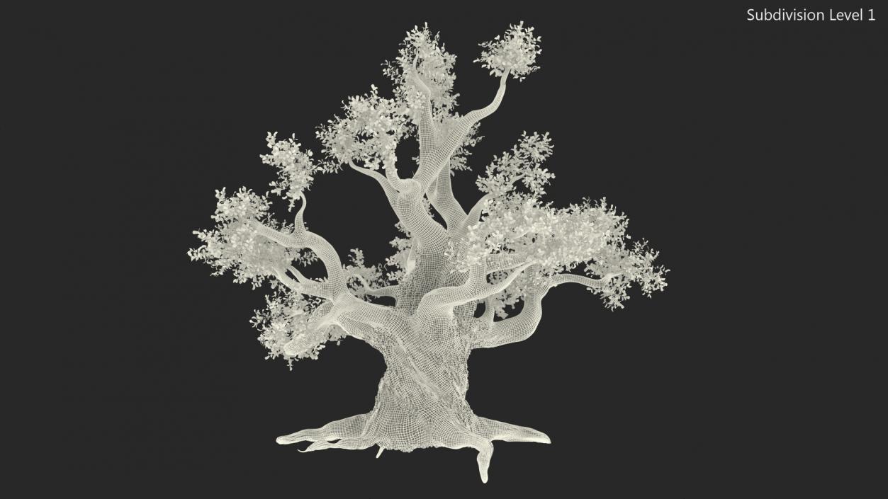 Old Twisted Oak Tree with Leaves 3D