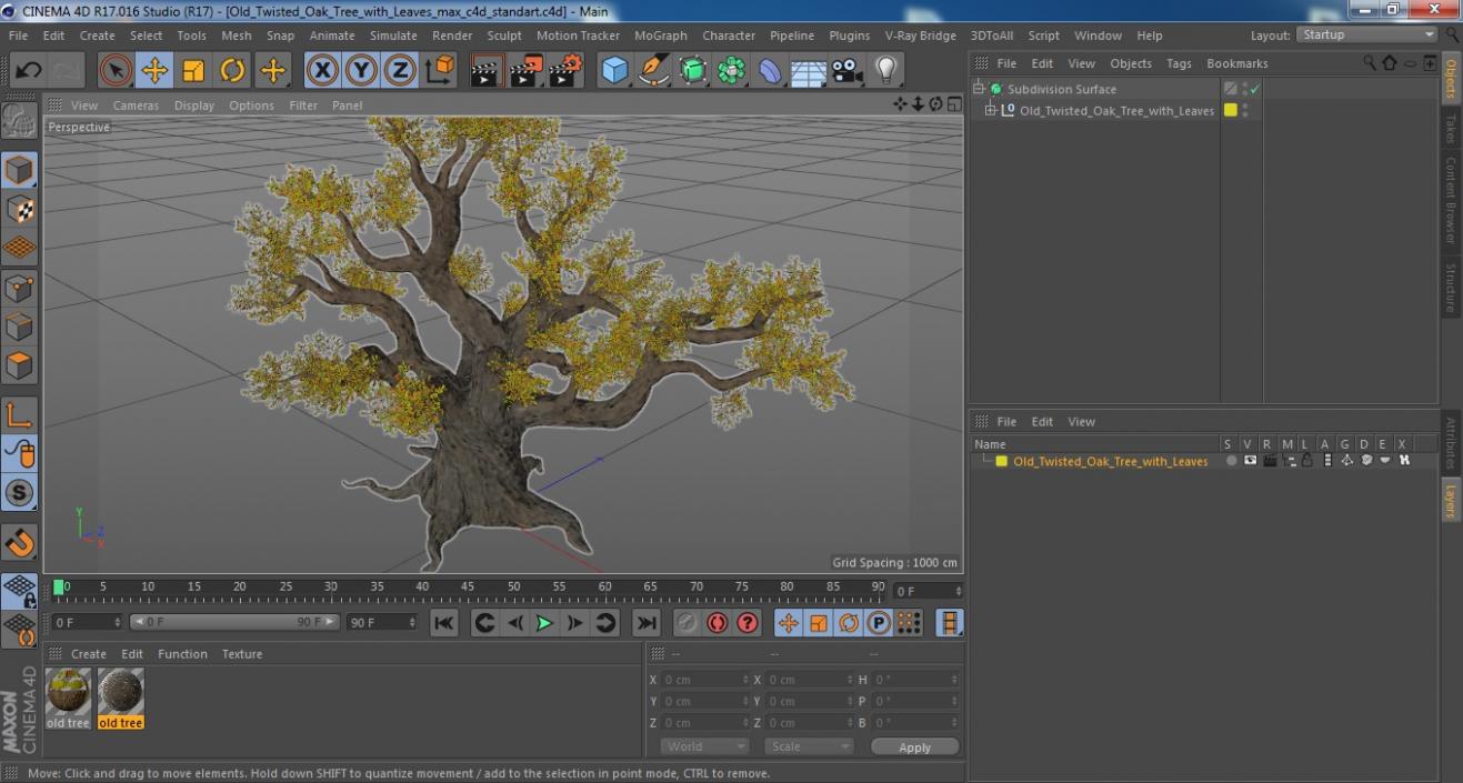 Old Twisted Oak Tree with Leaves 3D