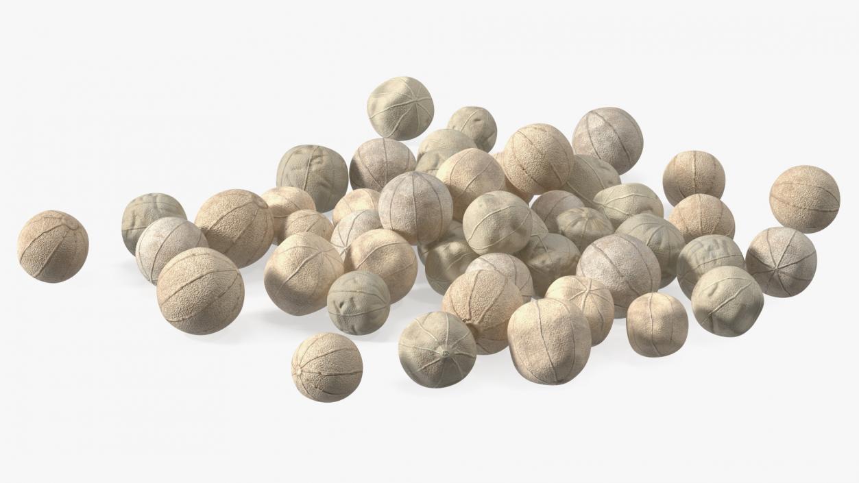 Dried White Peppercorn 3D