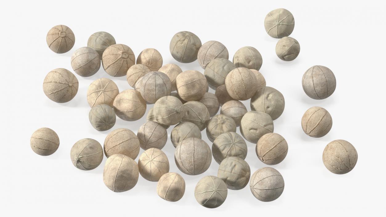 Dried White Peppercorn 3D