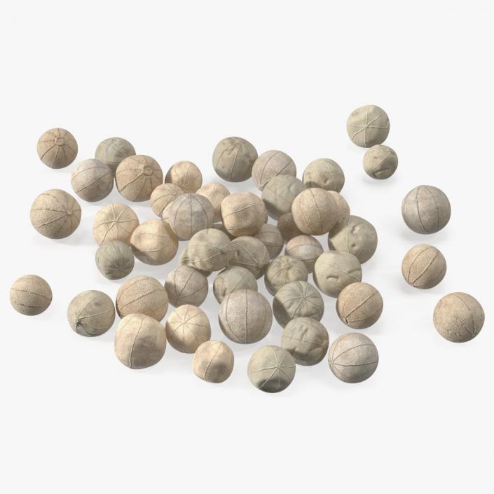 Dried White Peppercorn 3D