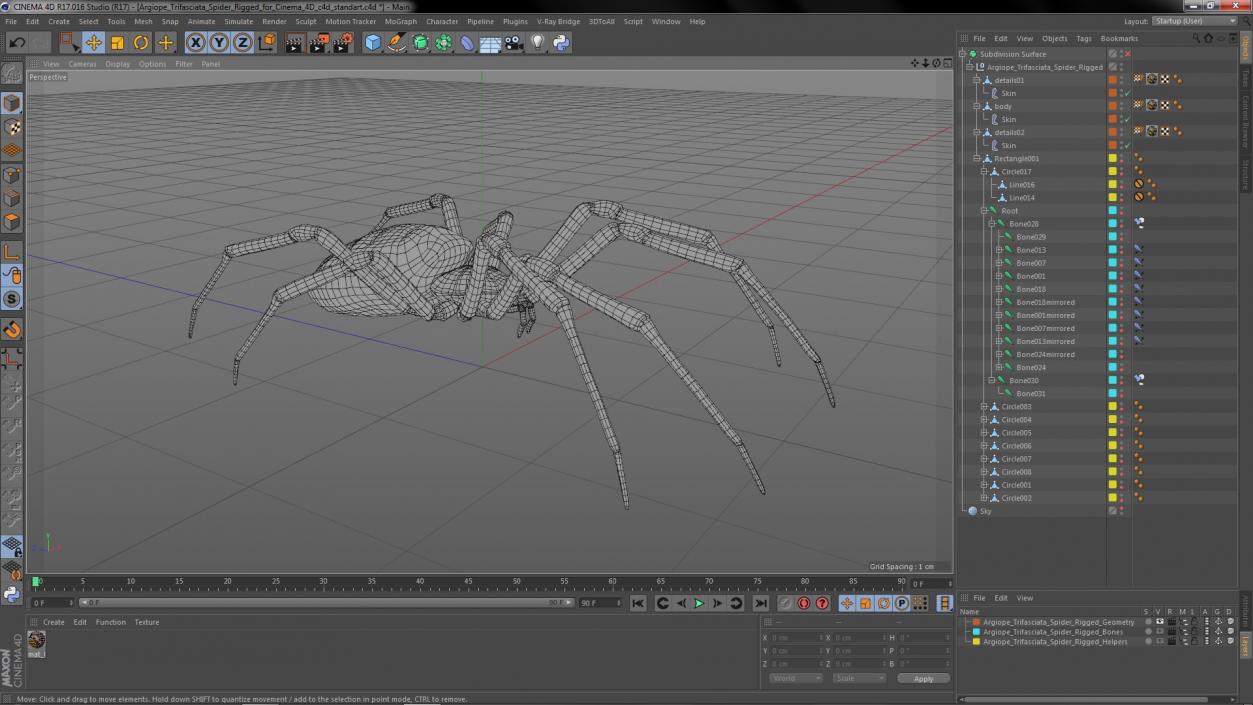 Argiope Trifasciata Spider Rigged for Cinema 4D 3D