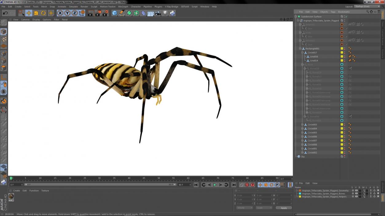 Argiope Trifasciata Spider Rigged for Cinema 4D 3D