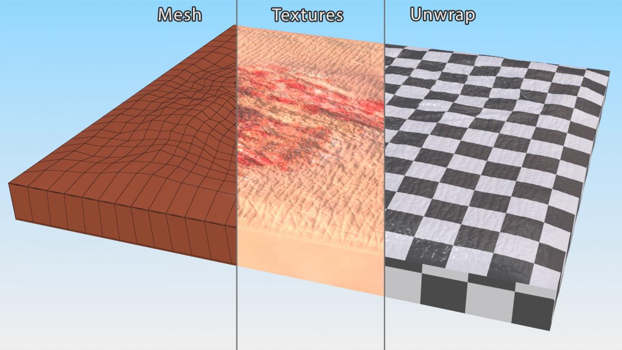 Skin Surfaces Collection 3D model