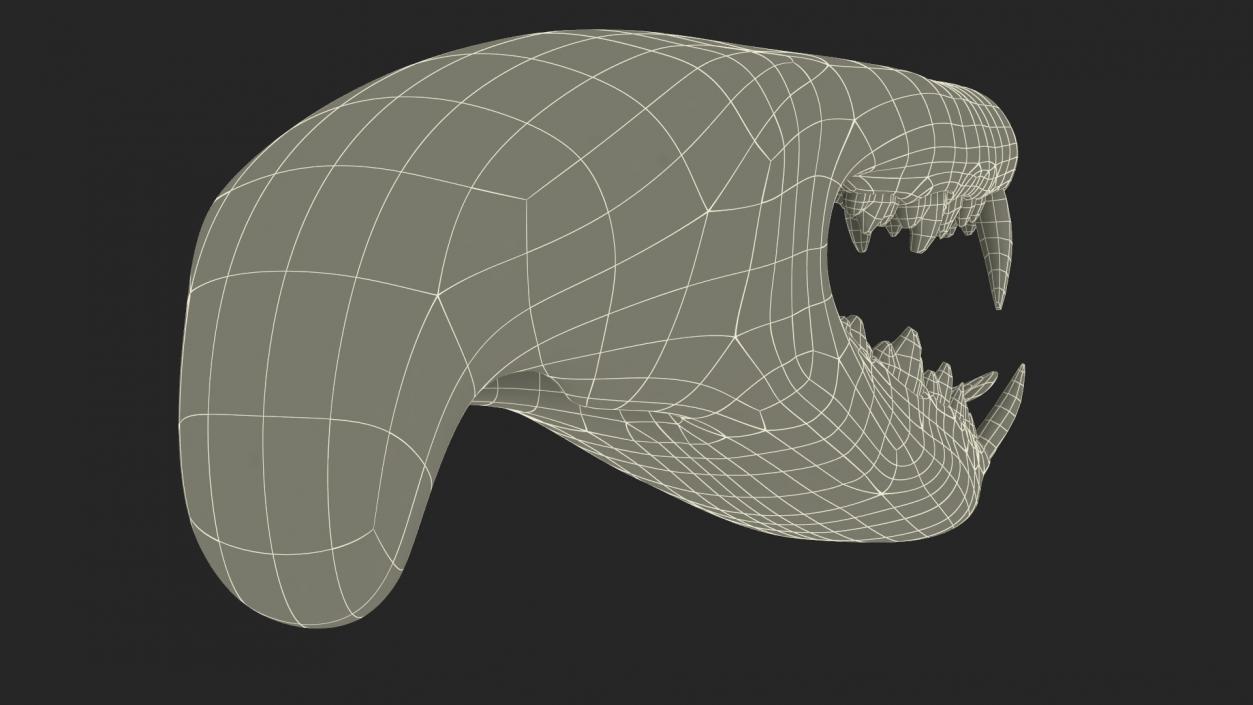 Dog Jaw Anatomic Rigged for Cinema 4D 2 3D model