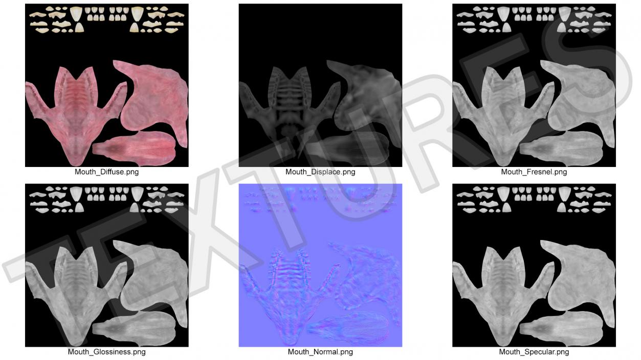 Dog Jaw Anatomic Rigged for Cinema 4D 2 3D model