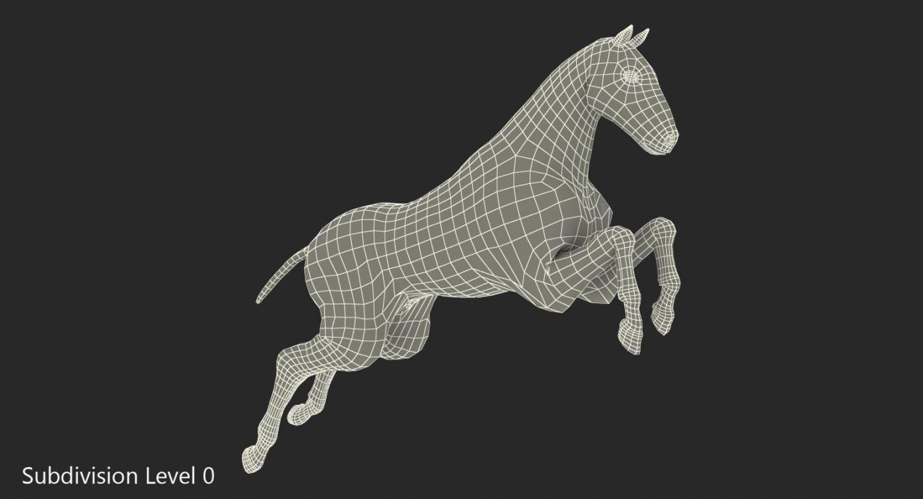 3D Jumping Horse Envelope with Skeleton