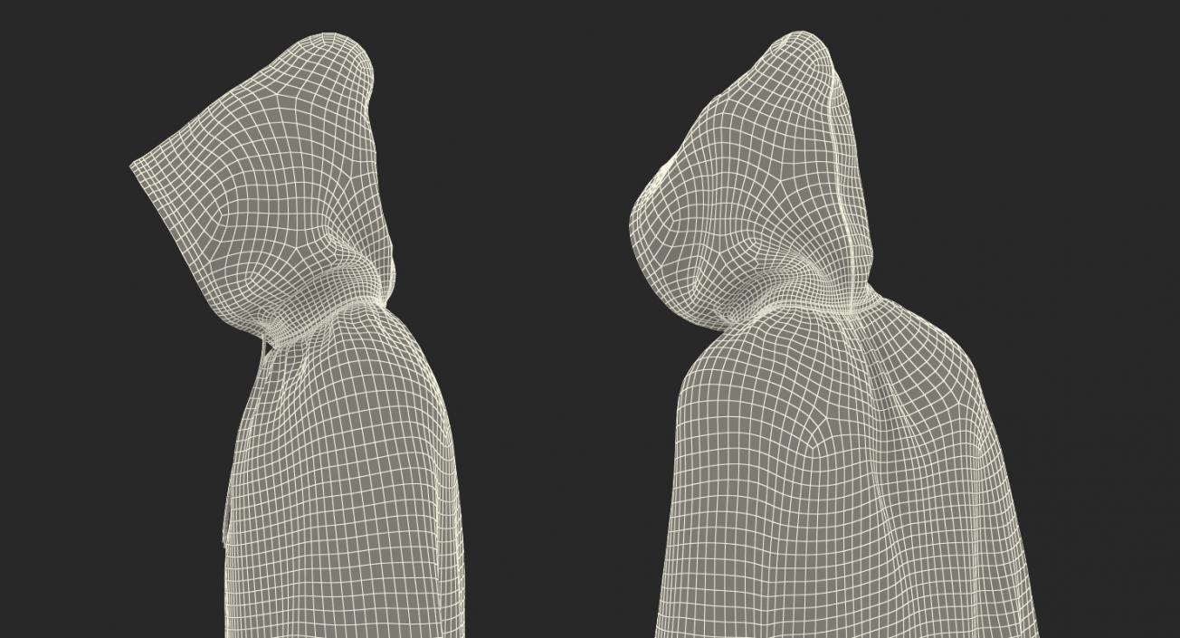 Medieval Cloak 3D model