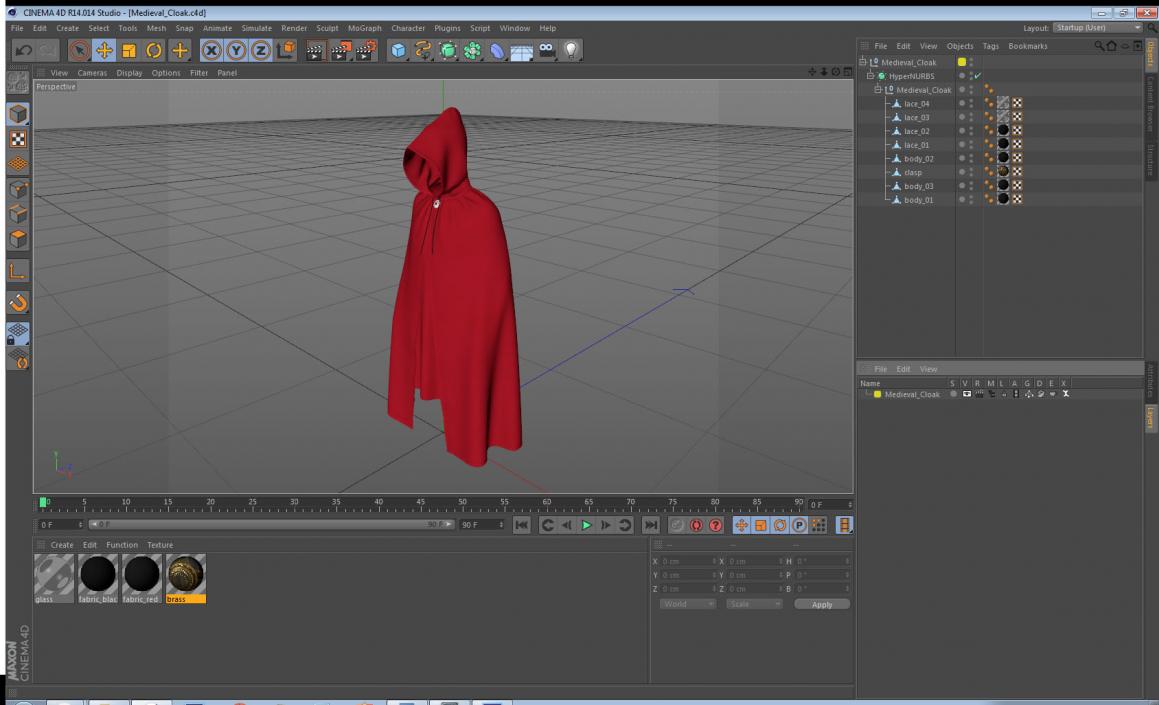 Medieval Cloak 3D model