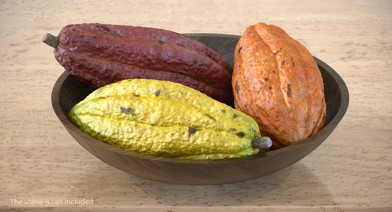 3D Cocoa Fruit