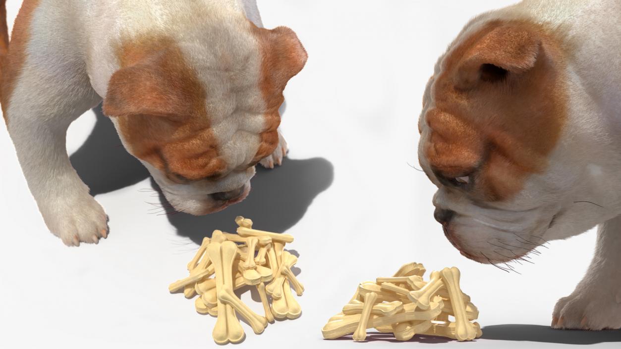 Bulldog Sniffs a Pile of Bones Fur 3D model