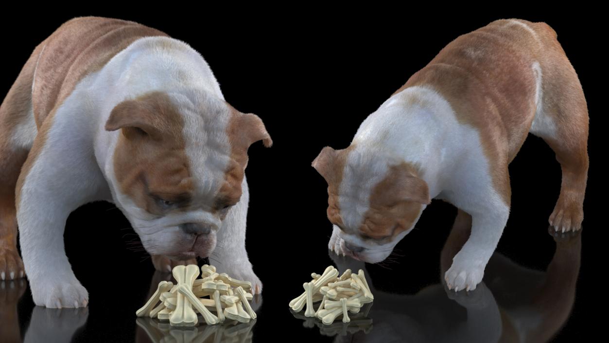 Bulldog Sniffs a Pile of Bones Fur 3D model