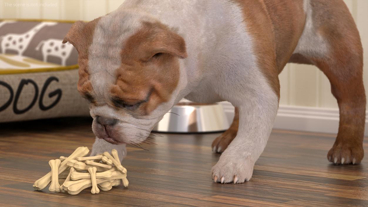 Bulldog Sniffs a Pile of Bones Fur 3D model