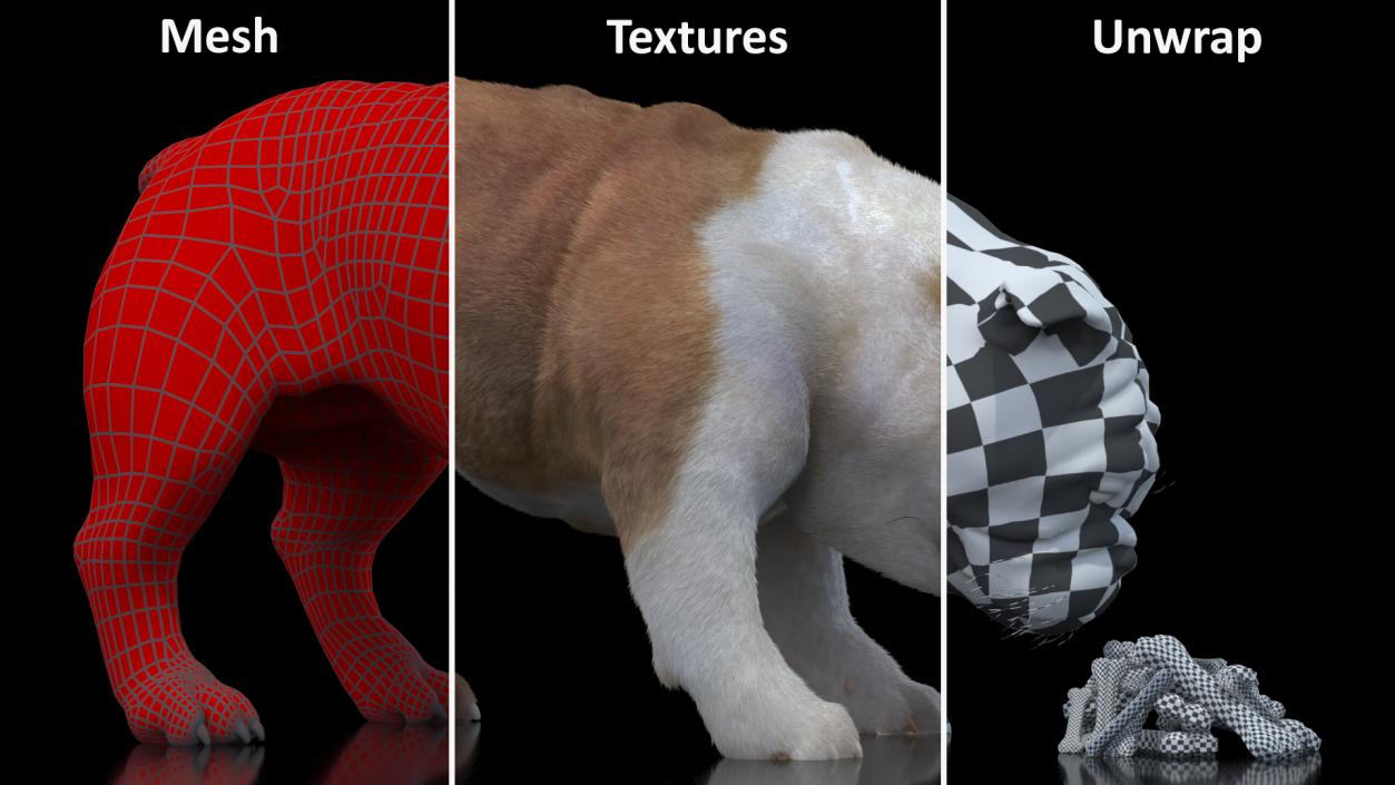 Bulldog Sniffs a Pile of Bones Fur 3D model