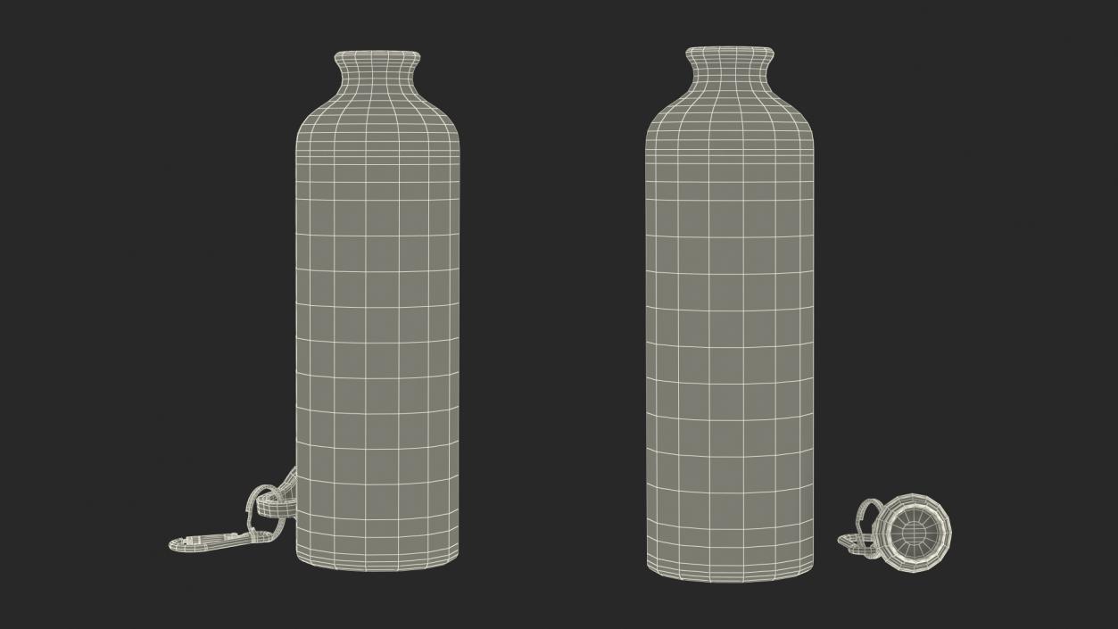 Sport Bottles Collection 3D model